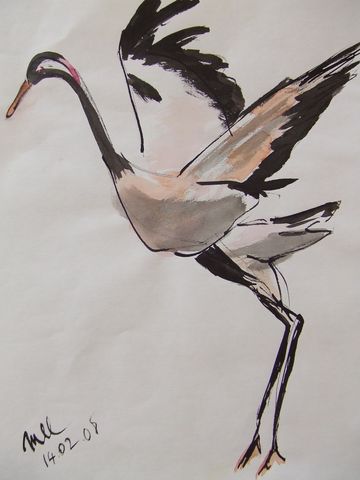 Marie-Line Lanaspeze, Cigogne compo 2008 (galeries/dessins-et-encre-de-chine)